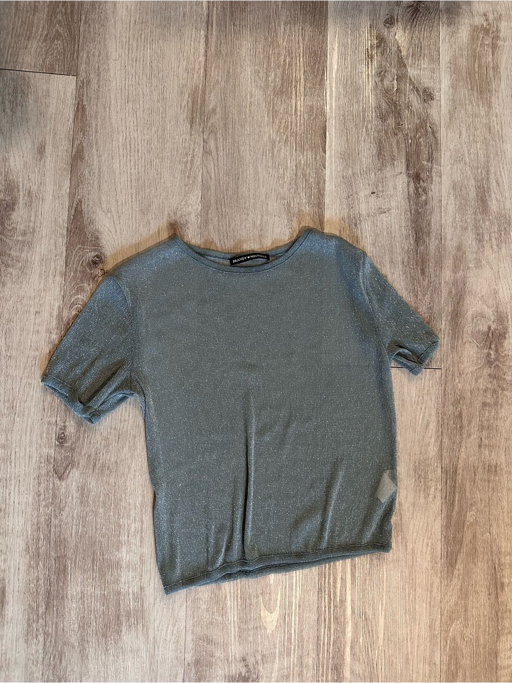Brandy Melville Metallic Gray Crop Top